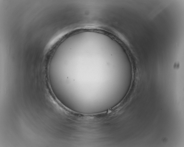 X0000113581456200910091451