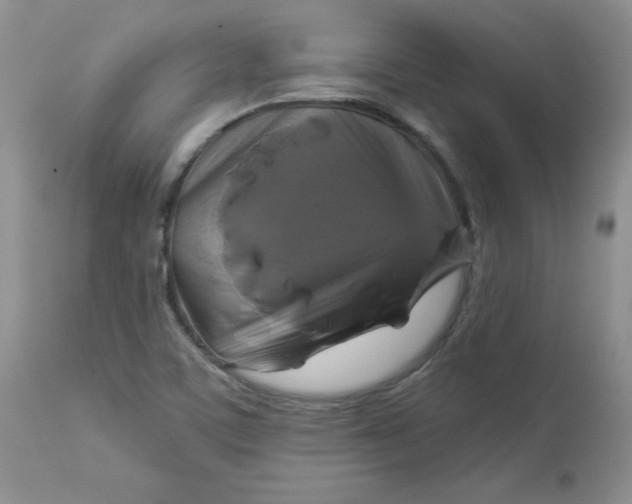 X0000113581459200910091451