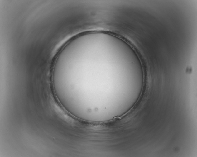 X0000113581460200910091451