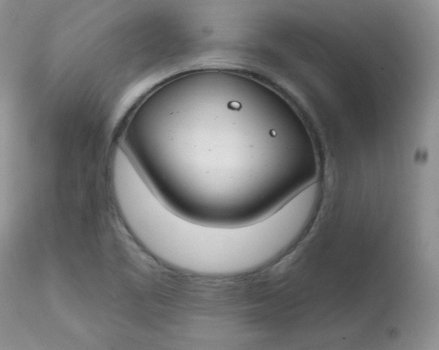 X0000113581461200910091451