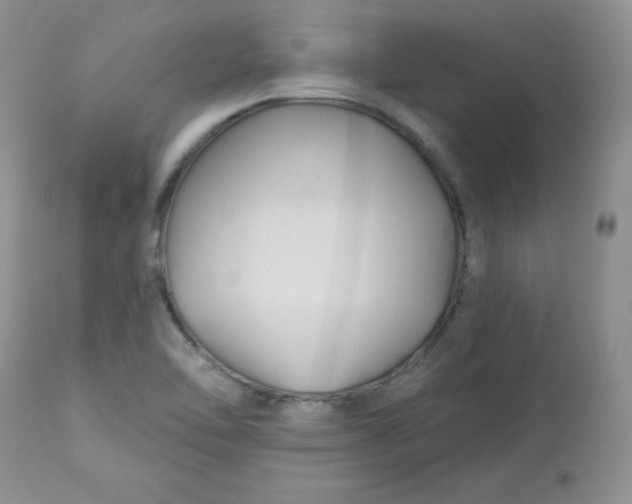 X0000113581462200910091451