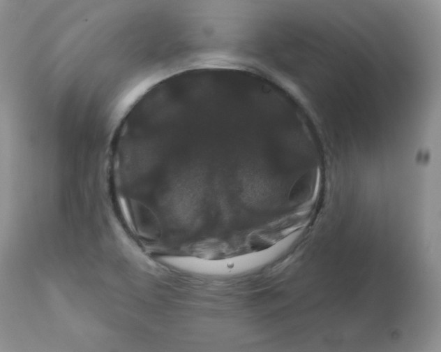 X0000113581463200910091451