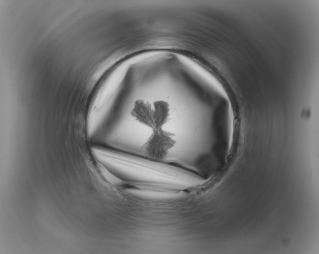 X0000113581465200910091451