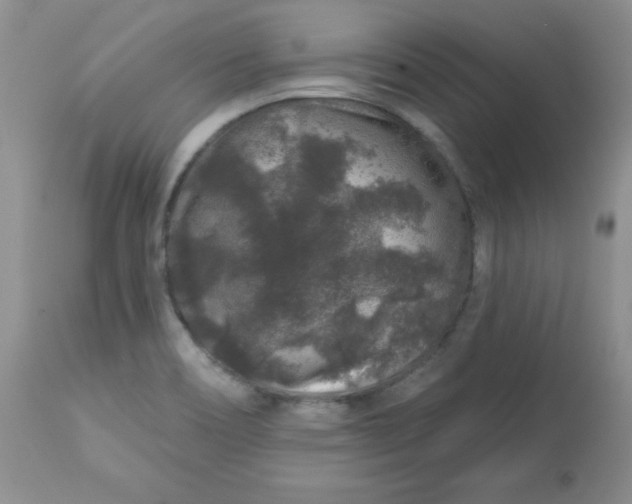 X0000113581466200910091451