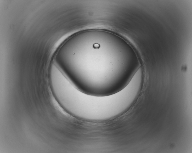 X0000113581468200910091450