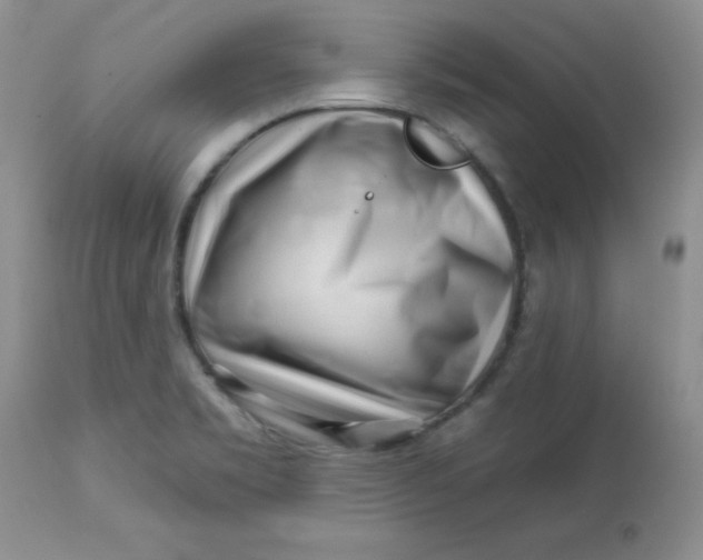 X0000113581469200910091450