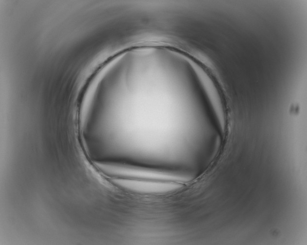 X0000113581472200910091450