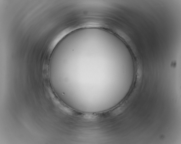 X0000113581473200910091450