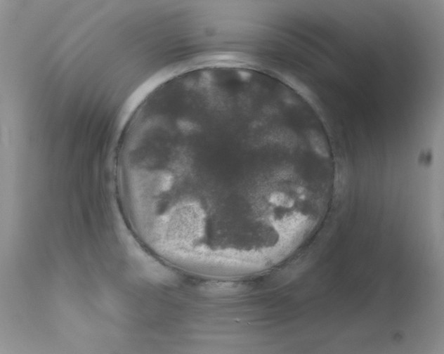 X0000113581474200910091450