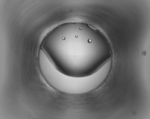 X0000113581477200910091450