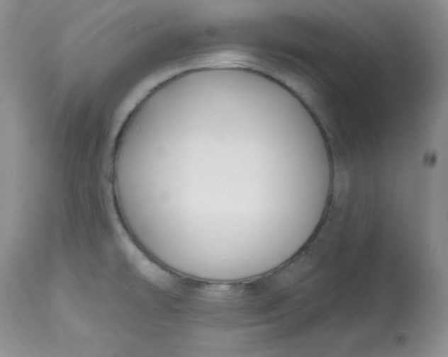 X0000113581478200910091450