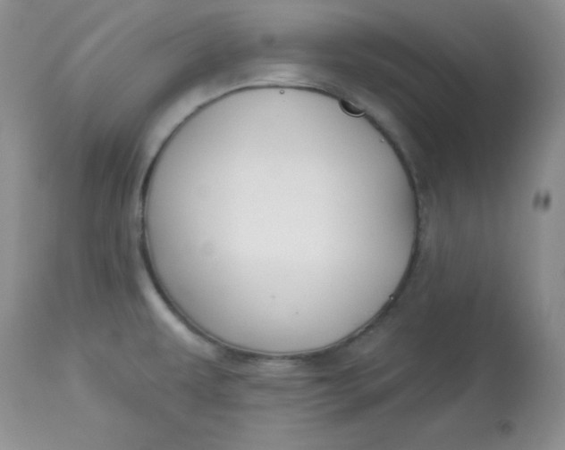 X0000113581479200910091450