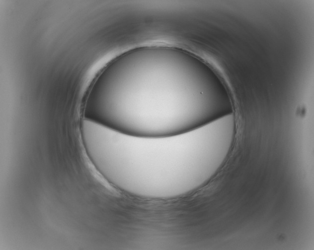 X0000113581480200910091450