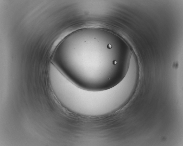 X0000113581481200910091450