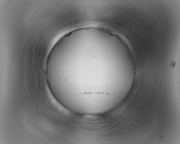 X0000113581483200910091450