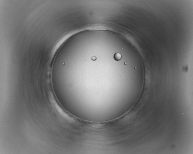 X0000113581484200910091450