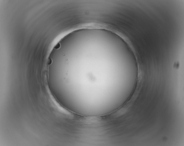 X0000113581486200910091450