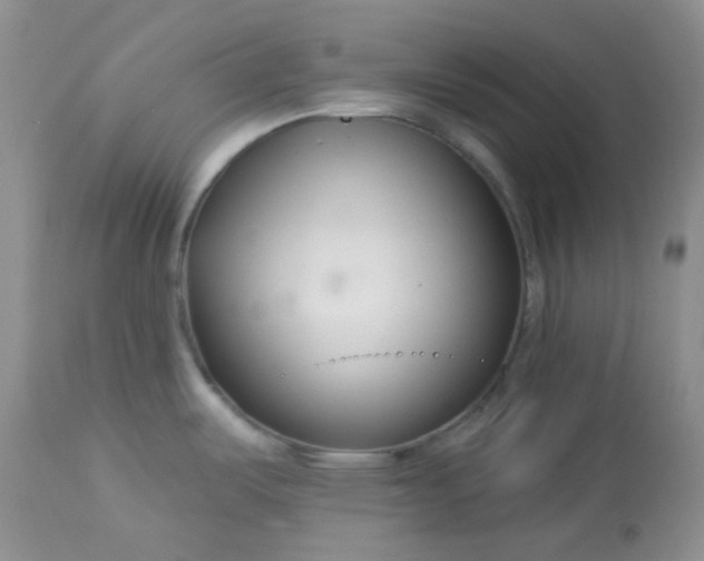 X0000113581487200910091450