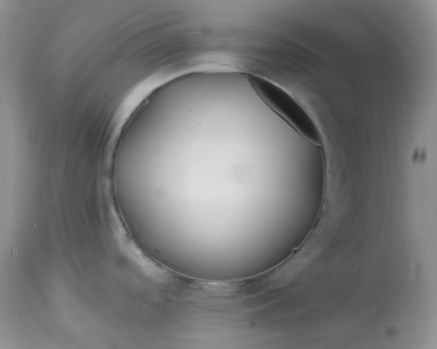 X0000113581488200910091450