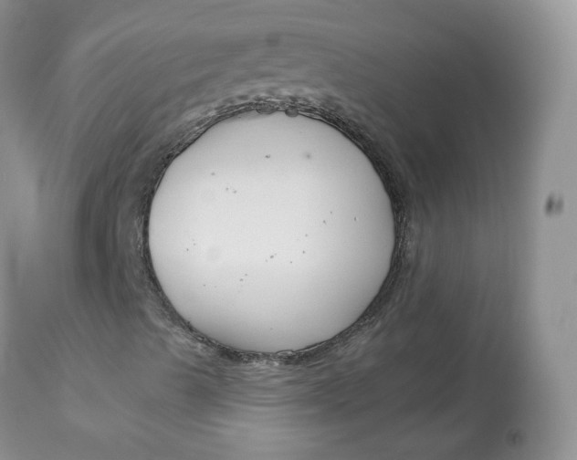 X0000113581489200910091450