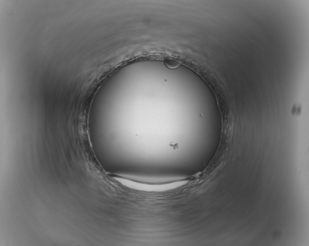 X0000113581490200910091450