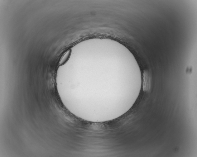 X0000113581491200910091450