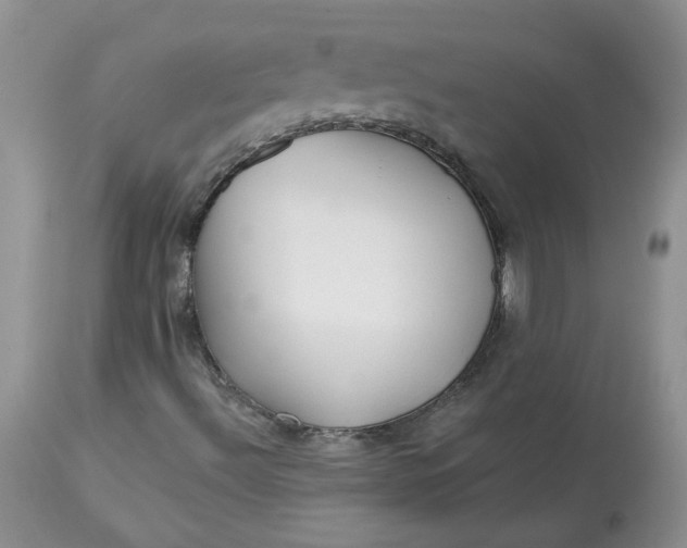 X0000113581492200910091450