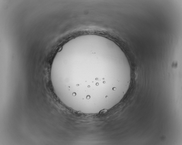 X0000113581493200910091450