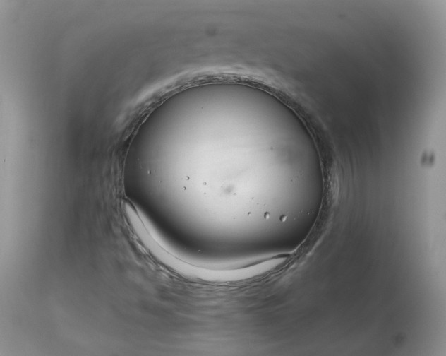 X0000113581494200910091450