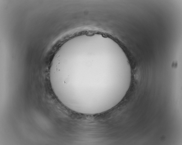 X0000113581495200910091450