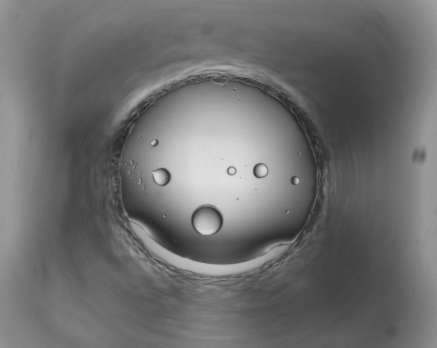 X0000113581496200910091450