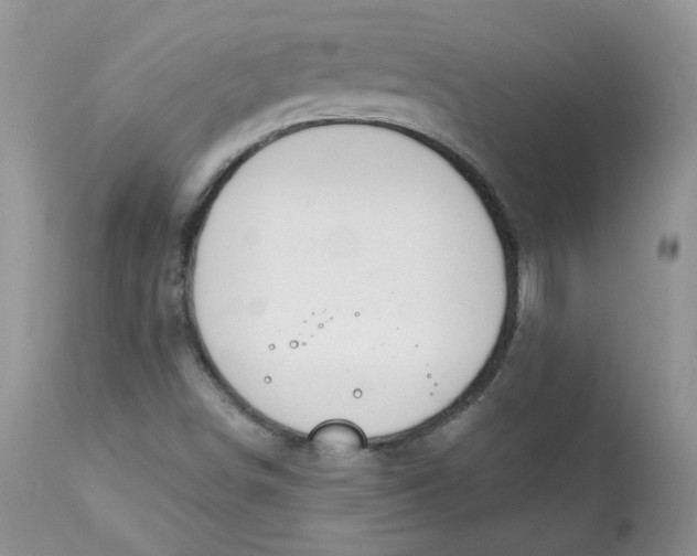 X0000113581498200910091450