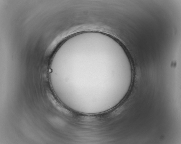 X0000113581499200910091450