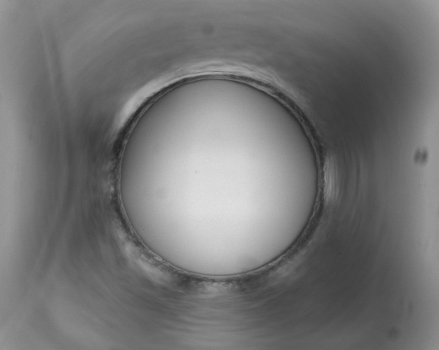 X0000113581501200910091450