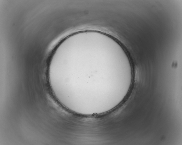 X0000113581502200910091450