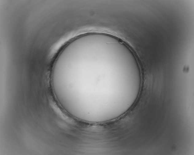 X0000113581503200910091450