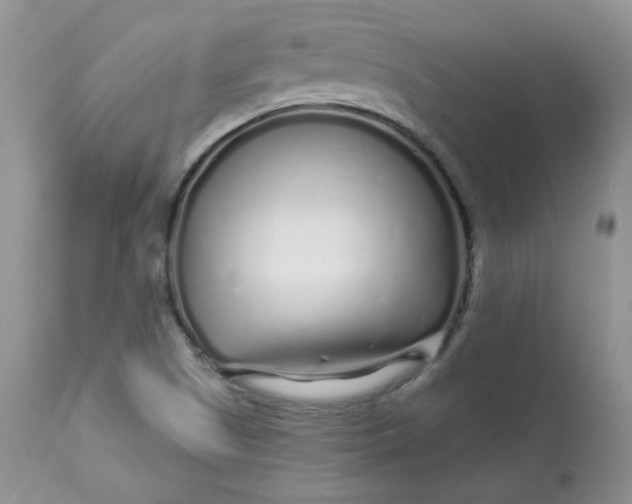 X0000113581505200910091450