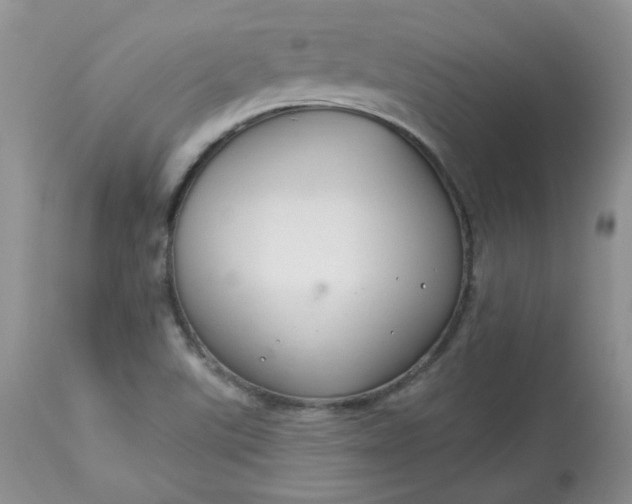 X0000113581507200910091450