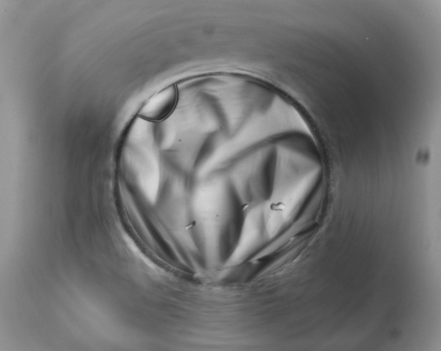 X0000113581508200910091450