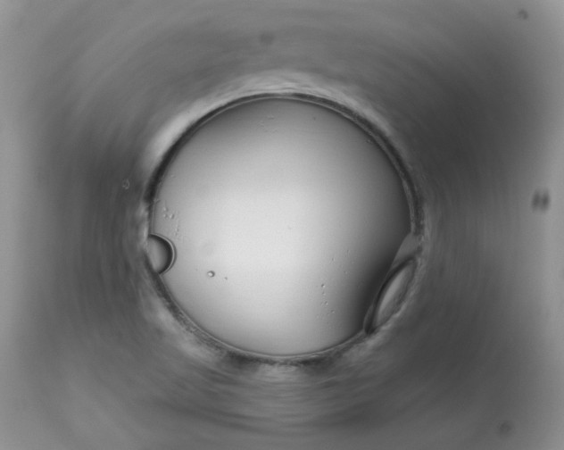 X0000113581509200910091450