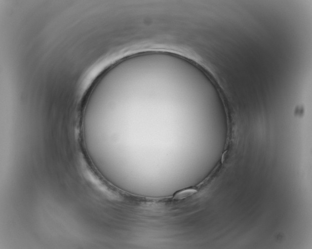 X0000113581511200910091450