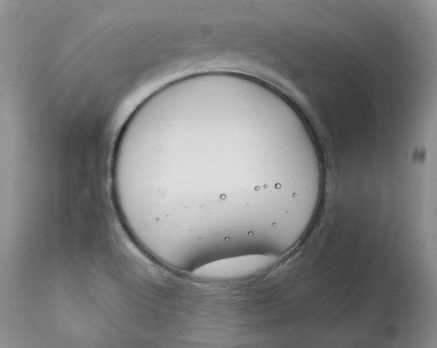 X0000113581512200910091450