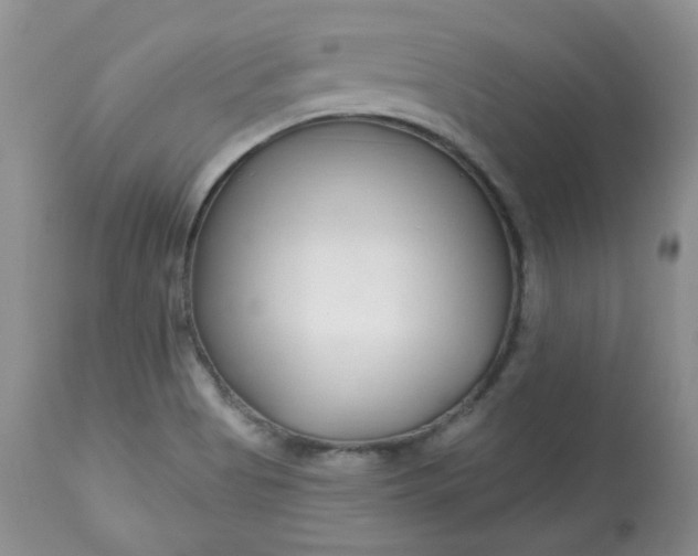 X0000113581513200910091450