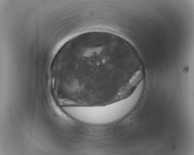 X0000113581515200910091450