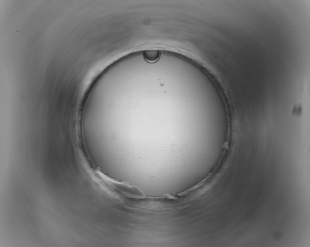 X0000113581517200910091450