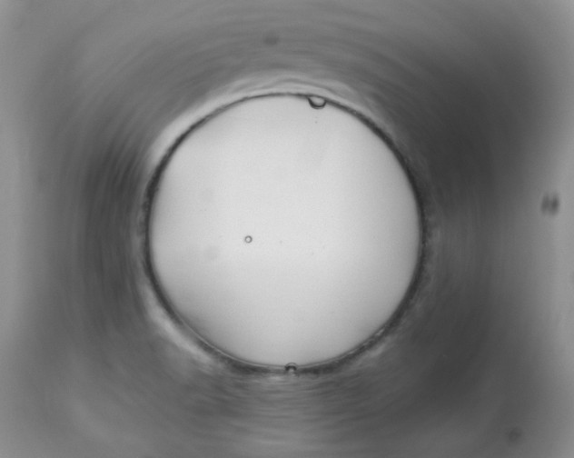 X0000113581518200910091450