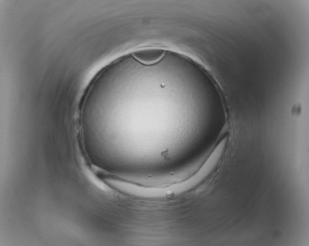 X0000113581519200910091450