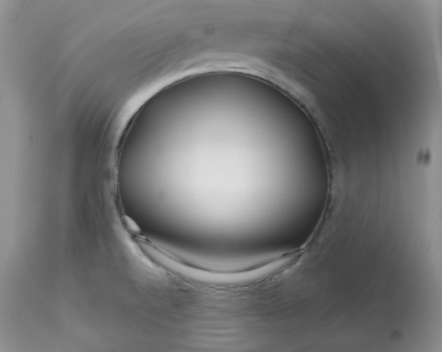 X0000113581520200910091450