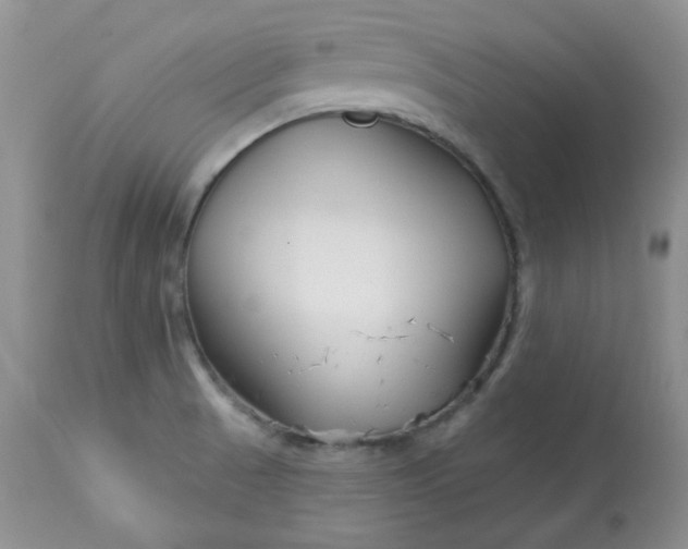 X0000113581521200910091450