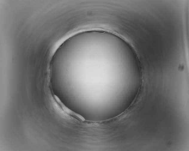 X0000113581524200910091450